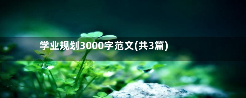 学业规划3000字范文(共3篇)