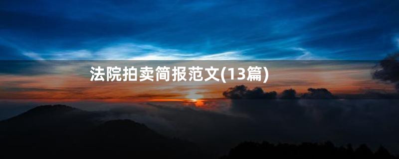 法院拍卖简报范文(13篇)