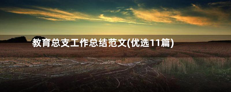 教育总支工作总结范文(优选11篇)