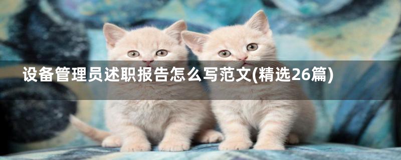 设备管理员述职报告怎么写范文(精选26篇)