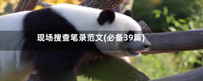 现场搜查笔录范文(必备39篇)