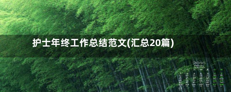 护士年终工作总结范文(汇总20篇)