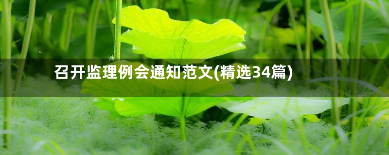 召开监理例会通知范文(精选34篇)