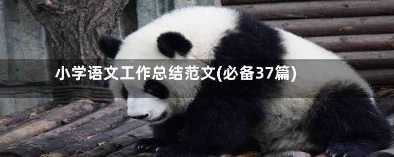 小学语文工作总结范文(必备37篇)