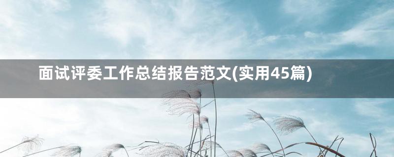面试评委工作总结报告范文(实用45篇)