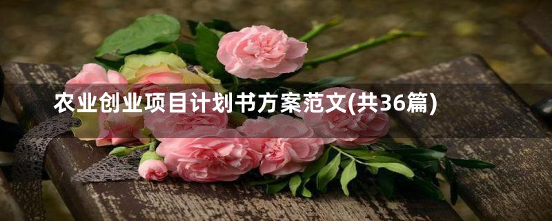 农业创业项目计划书方案范文(共36篇)