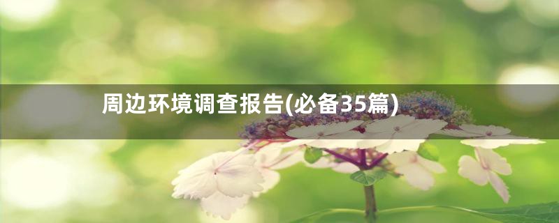 周边环境调查报告(必备35篇)