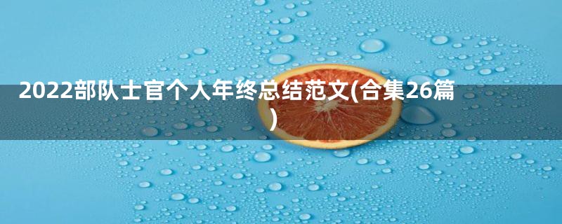 2022部队士官个人年终总结范文(合集26篇)