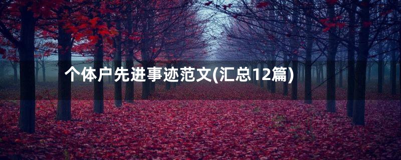 个体户先进事迹范文(汇总12篇)