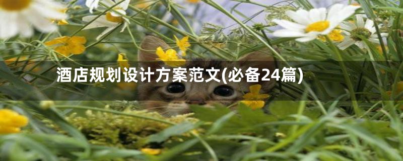 酒店规划设计方案范文(必备24篇)