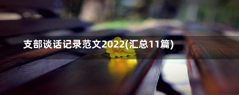 支部谈话记录范文2022(汇总11篇)