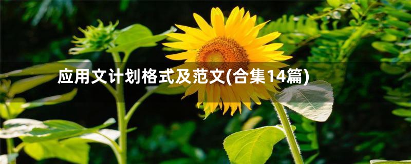 应用文计划格式及范文(合集14篇)