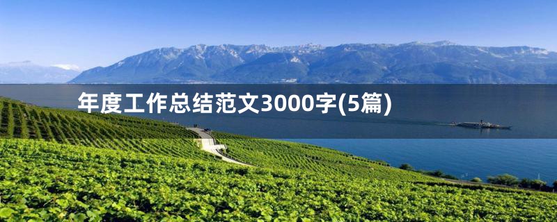 年度工作总结范文3000字(5篇)