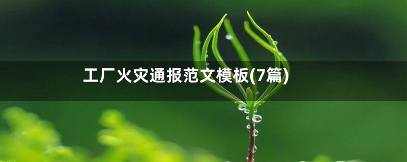 工厂火灾通报范文模板(7篇)