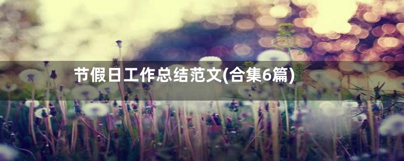 节假日工作总结范文(合集6篇)