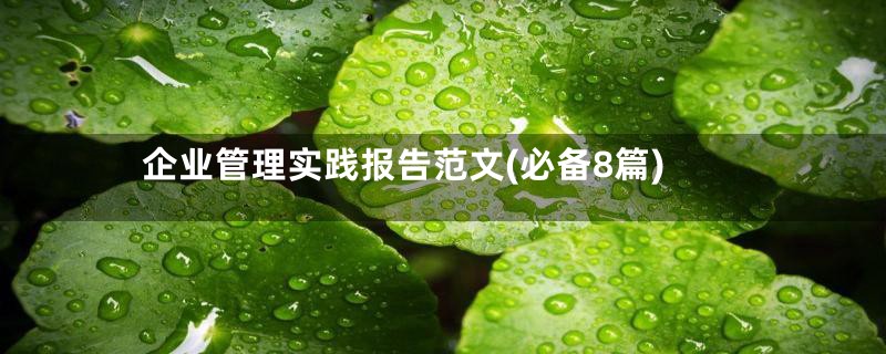 企业管理实践报告范文(必备8篇)