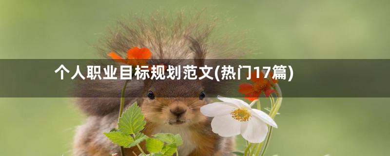 个人职业目标规划范文(热门17篇)