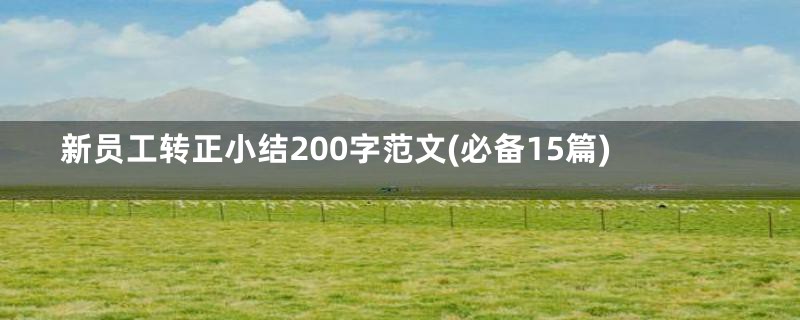 新员工转正小结200字范文(必备15篇)