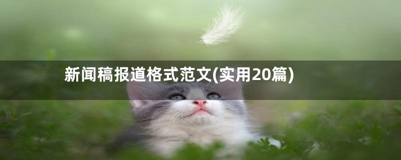 新闻稿报道格式范文(实用20篇)