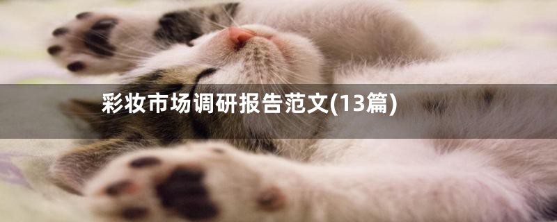 彩妆市场调研报告范文(13篇)