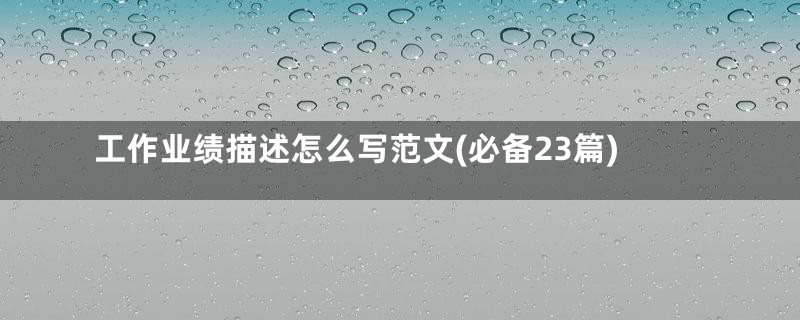 工作业绩描述怎么写范文(必备23篇)