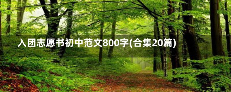入团志愿书初中范文800字(合集20篇)