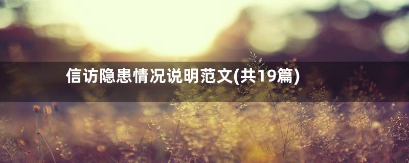 信访隐患情况说明范文(共19篇)