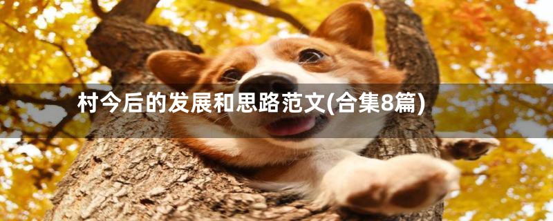 村今后的发展和思路范文(合集8篇)