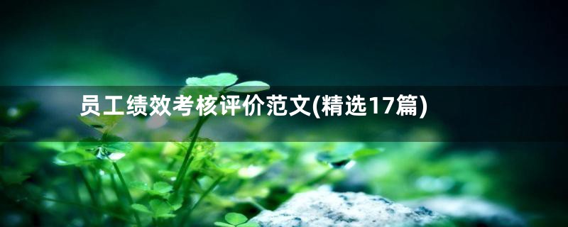员工绩效考核评价范文(精选17篇)