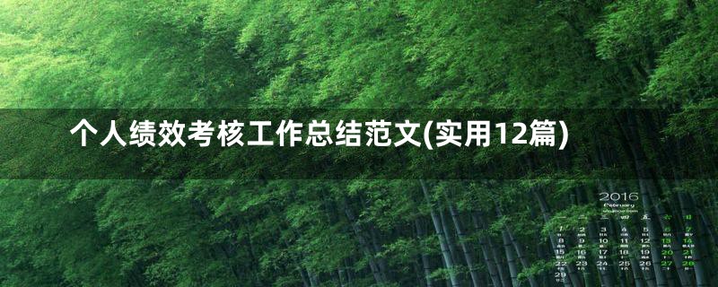 个人绩效考核工作总结范文(实用12篇)