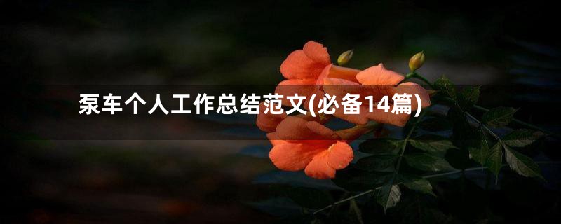 泵车个人工作总结范文(必备14篇)