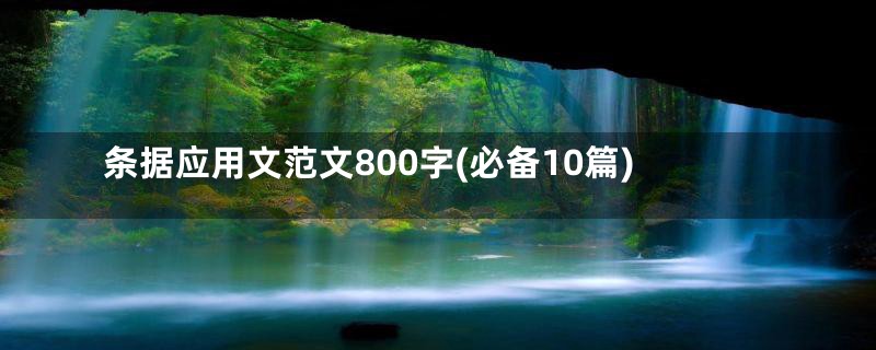 条据应用文范文800字(必备10篇)