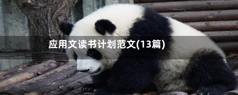 应用文读书计划范文(13篇)