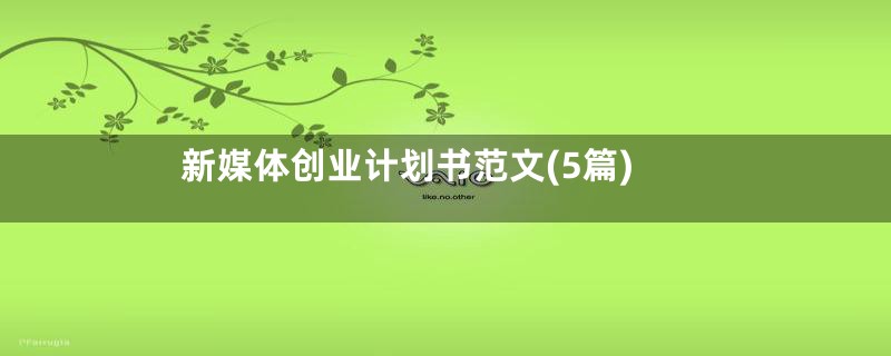 新媒体创业计划书范文(5篇)