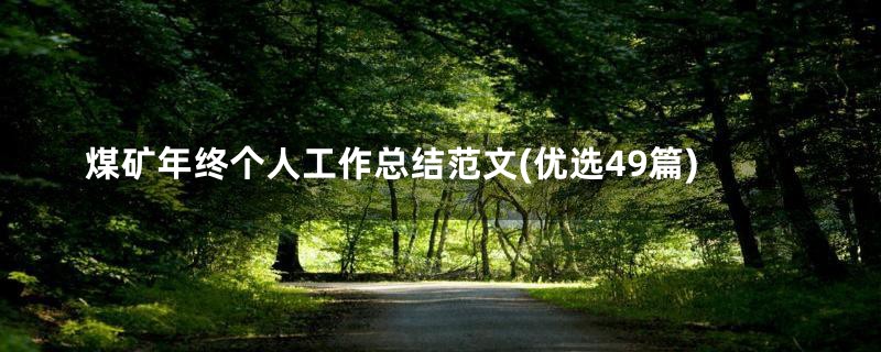 煤矿年终个人工作总结范文(优选49篇)