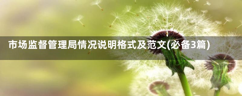 市场监督管理局情况说明格式及范文(必备3篇)
