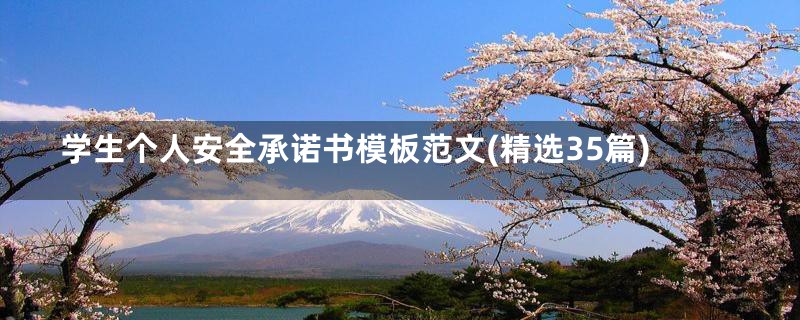 学生个人安全承诺书模板范文(精选35篇)
