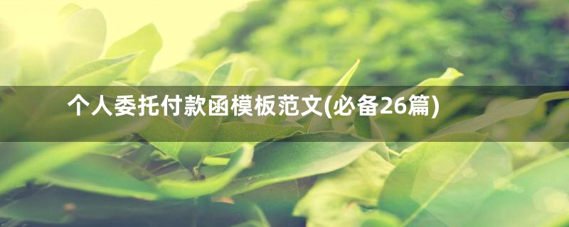 个人委托付款函模板范文(必备26篇)