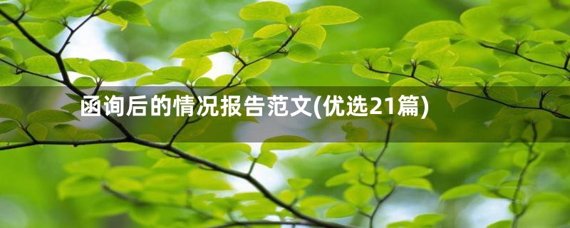 函询后的情况报告范文(优选21篇)