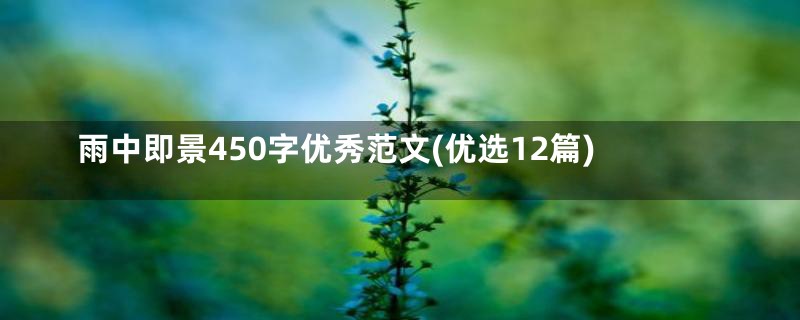 雨中即景450字优秀范文(优选12篇)