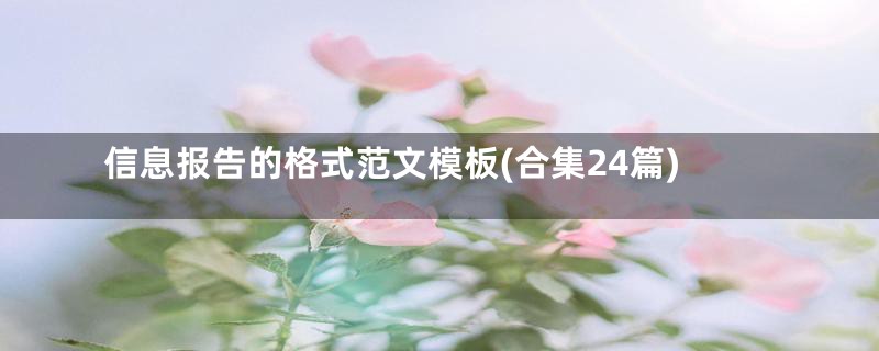 信息报告的格式范文模板(合集24篇)
