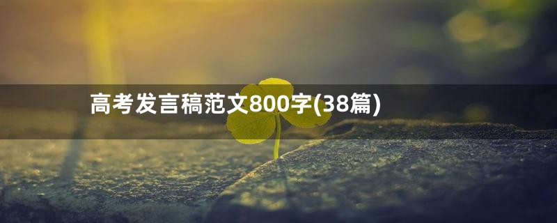 高考发言稿范文800字(38篇)