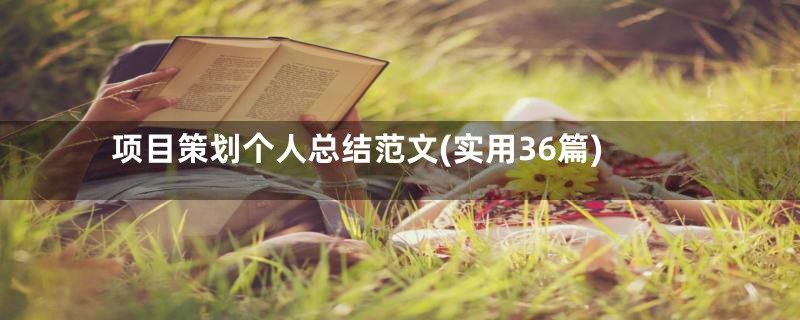 项目策划个人总结范文(实用36篇)