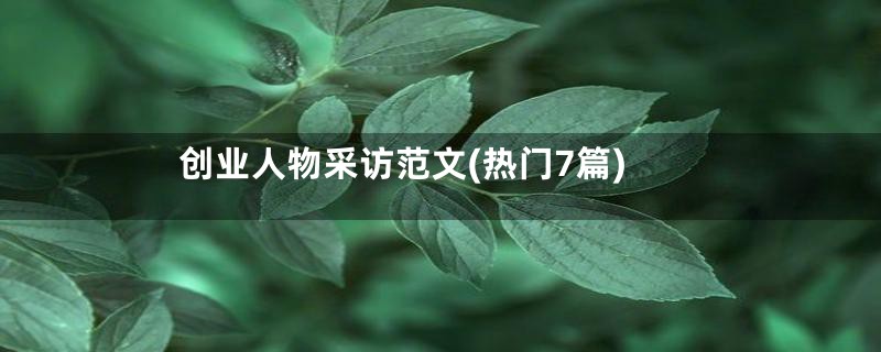 创业人物采访范文(热门7篇)