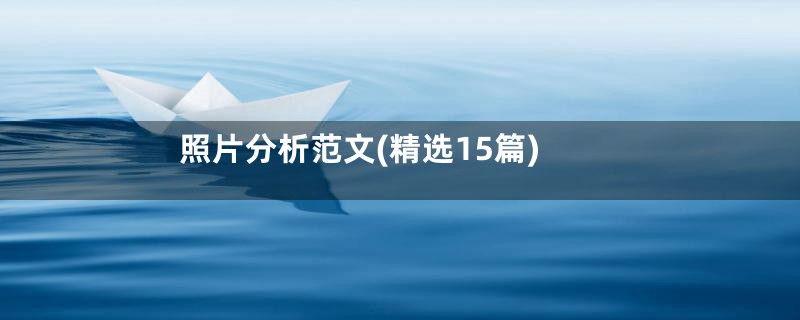 照片分析范文(精选15篇)