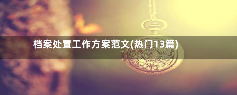 档案处置工作方案范文(热门13篇)