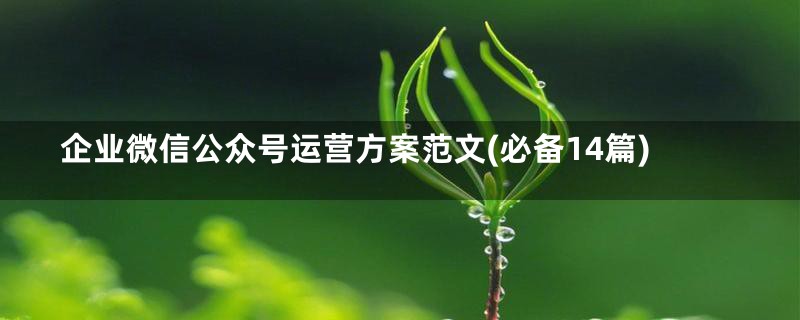 企业微信公众号运营方案范文(必备14篇)