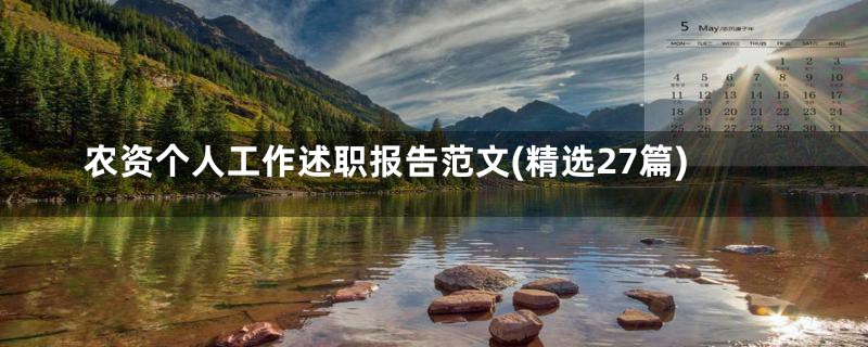 农资个人工作述职报告范文(精选27篇)
