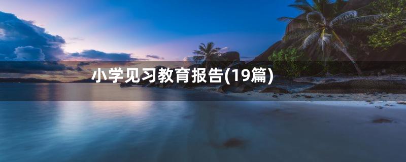 小学见习教育报告(19篇)