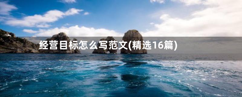 经营目标怎么写范文(精选16篇)